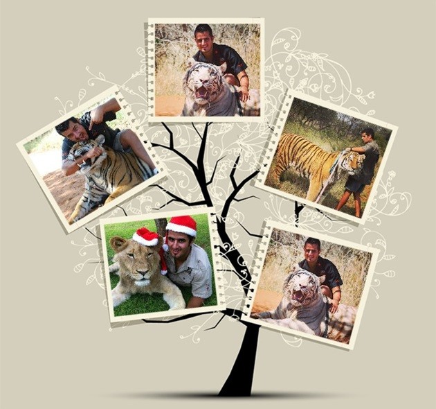 montagem_arvore_de_familia