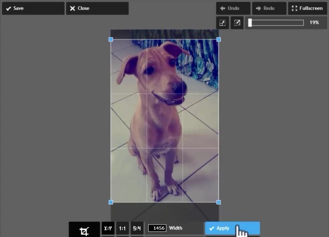 cortar fotos online